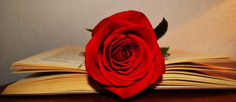 El día del libro y de la rosa